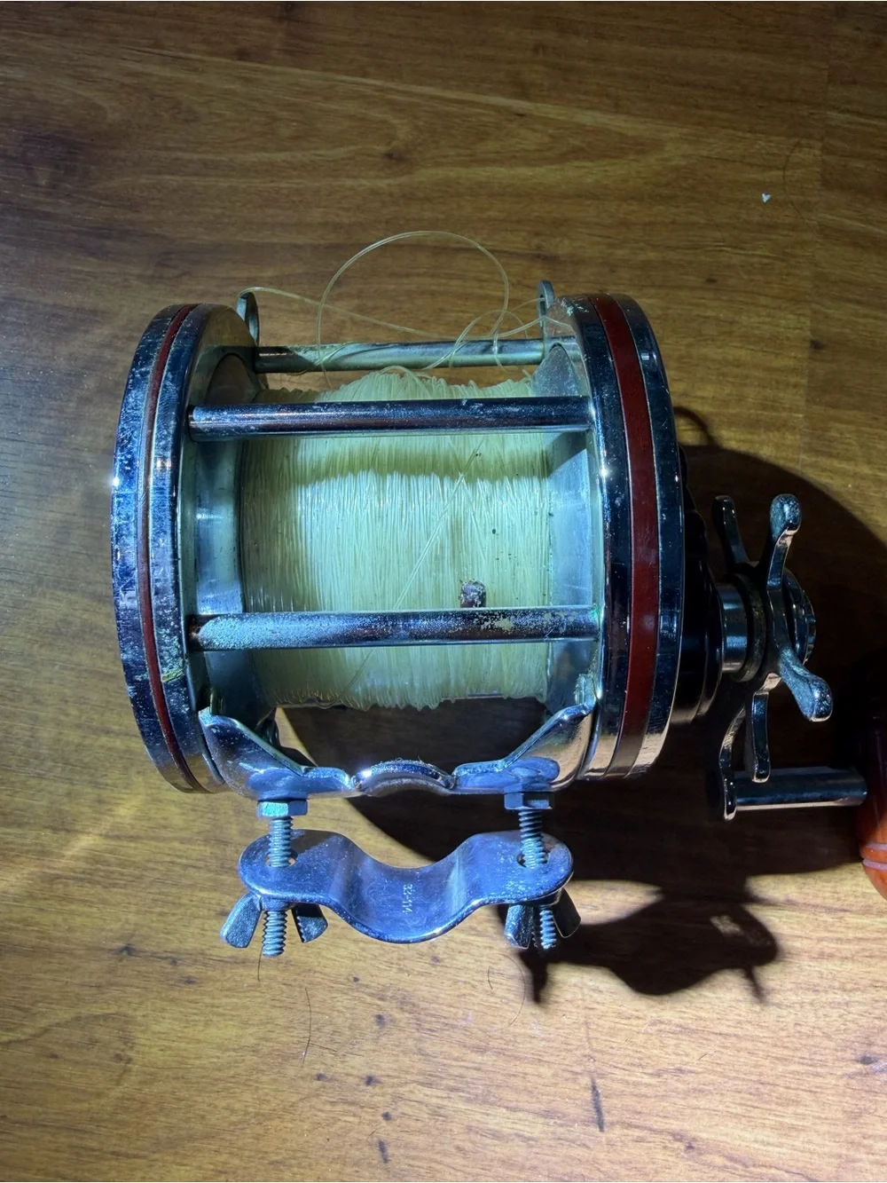 penn saltwater features identification